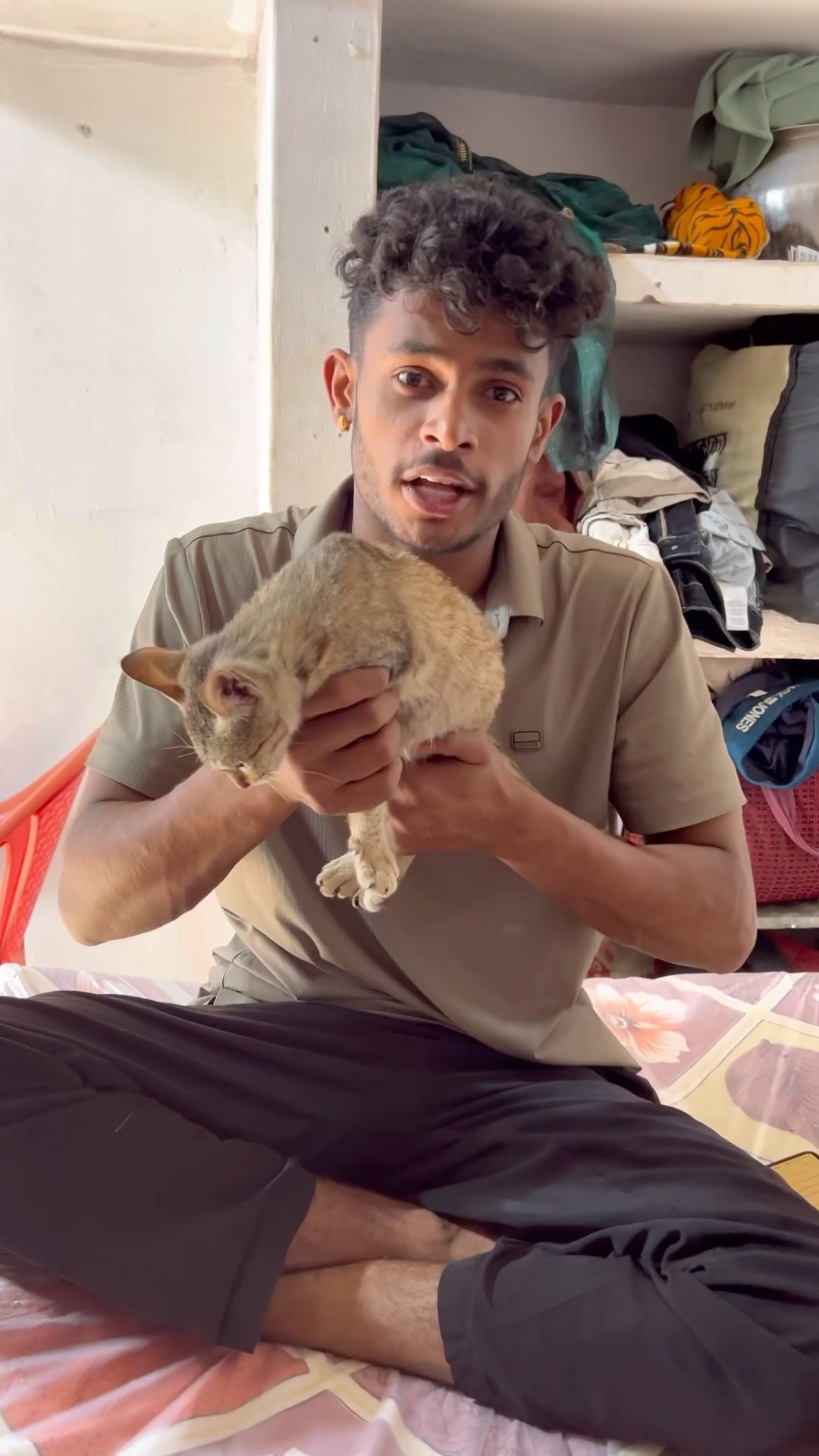 CHOTU KA BLACK BILLI #shorts @FACTFIREKING