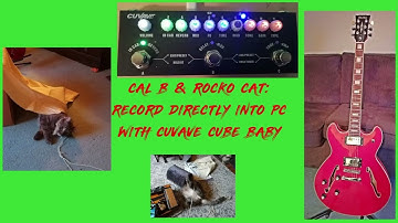 CUVAVE CUBE BABY- RECORD DIRECT INTO YOUR PC OR LAPTOP