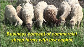 Sheep Farm - How To Make Money - Best Ways To Make Money