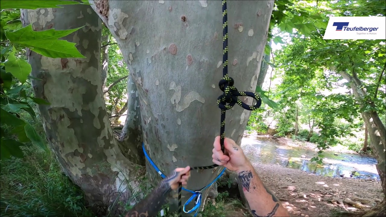 Ancrage canopée avec multisling Teufelberger