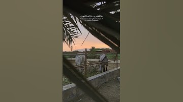 قران كريم - القارئ اسلام صبحي  .............#اكسبلور #لايك #المصحف #قران #اسلام_صبحي