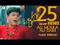 Ali mola ali dam dam  jaanam fida e haideri  amjad baltistani  official  tna records