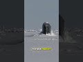 What Keeps Submarines Underwater for Months