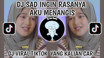  DJ INGIN RASANYA AKU MENANGIS MEYDA RAHMA VIRAL TIKTOK TERBARU 2025-INGIN RASANYA AKU MENANGIS