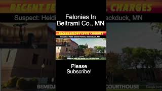 Recent Felony Level Charges In Beltrami County Court