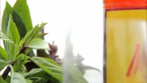 Mekhong Thai Sabai Scoop