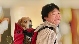 【ご報告があります】愛犬ラブが虹の橋を渡りました image