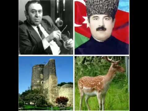 Aşıq Hacalı Hacıyevin bəstələri və ifası. Qız Qalası və Maral mahnıları Sözləri Nəbi Xəzrinindir