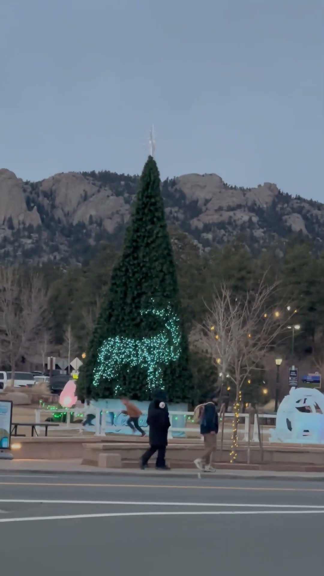 Elk Silhouettes In Christmas Tree Lights || ViralHog