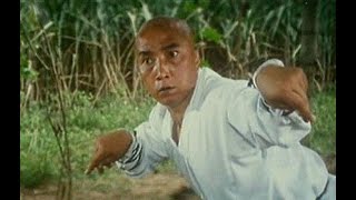 Martial Arts of Shaolin (Chinese 南北少林) перевод Клуб путешественников /1986/ Боевые искусства Шаолиня