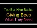 Top Bar Hive Basics: Giving the Bees What They Need (top bars, roofs and other hardware)