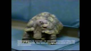 Comcast High Speed Internet. The slowskys time machine.