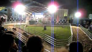Pig races Steuben County Fair