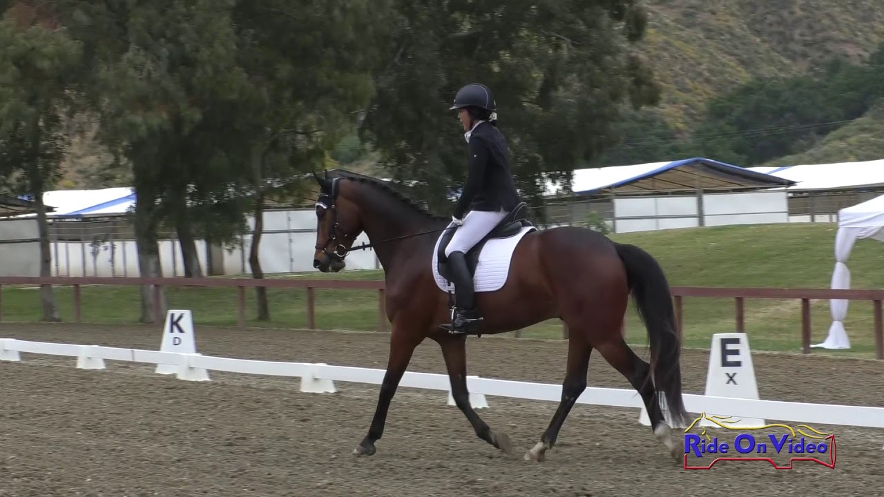 downs sims 106D Kim Goto Miner on Churchill Preliminary Rider Dressage Galway Downs May 2019