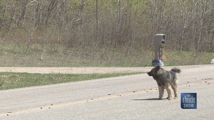 Legal Logic: Noisy neighbors