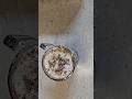 #milk#chocolate#shake#youtubeshorts #viral #food #home
