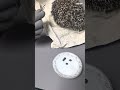 I Removed Ticks from This Hedgehog and Set It Free! #removal #shedding #tickremoval #hedgehog