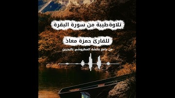 تلاوة طيبة من سورة البقرة | للقارئ حمزة معاذ #المصحف #اكسبلور #تيك_توك #قرآن #راحة_نفسية #حجاز