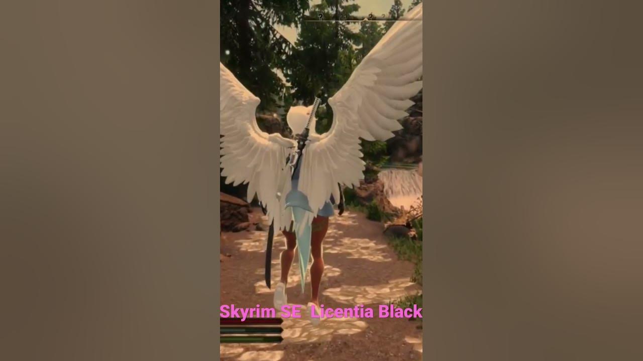 Skyrim SE Licentia Black Wabbajack Modlist Hover Enchantment Mod