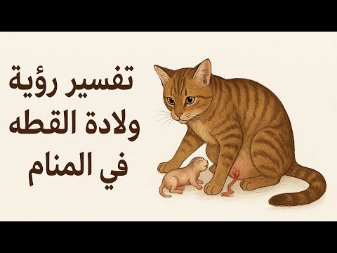 تفسير رؤية ولادة القطه في المنام