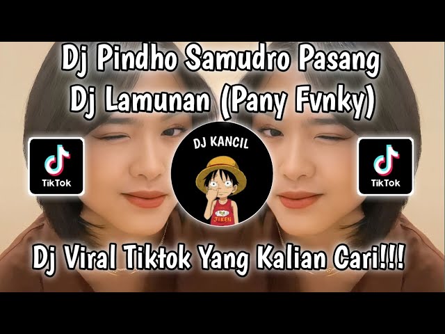 DJ PINDHO SAMUDRO PASANG || DJ LAMUNAN BY PANI FVNKY DJ VIRAL TIKTOK TERBARU YANG KALIAN CARI class=