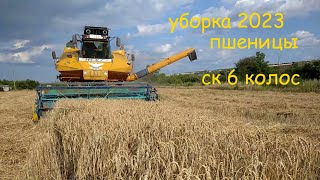 уборка пшеницы ск 6 колос 2023