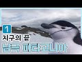 지구의 끝, 남극의 파타고니아 1편 (2008.03.07) [세계명산트레킹] | Edge of the Earth, Patagonia [World Mountain]