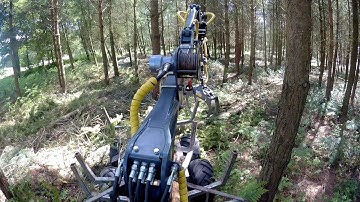 Logbullet Forwarding in the sunshine