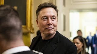 Elon Musk warns Australians are becoming an ‘endangered species’
