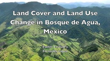 Land Use and Land Cover Change in the Bosque de Agua Forest, Mexico