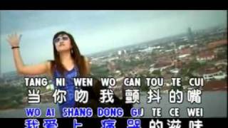 ‪TI YI TI LEI 第一滴泪 - Huang Jia Jia 黄佳佳‬‏ - YouTube.flv