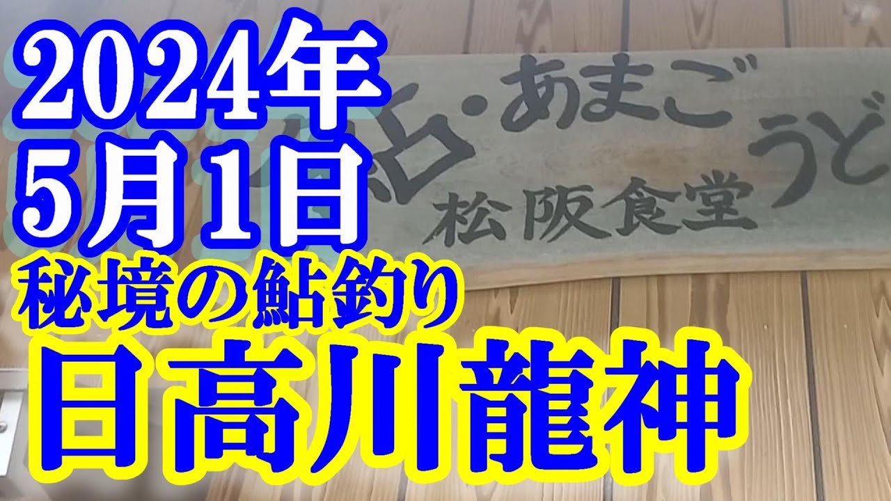 鮎釣り 雨 渇水垢ぐされ 板弦上 日高川龍神 2024年