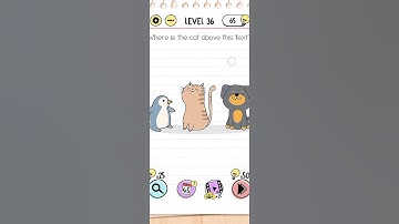 brain test level -36 Where is the cat above this text? #braintest #gaming #shortsfeed