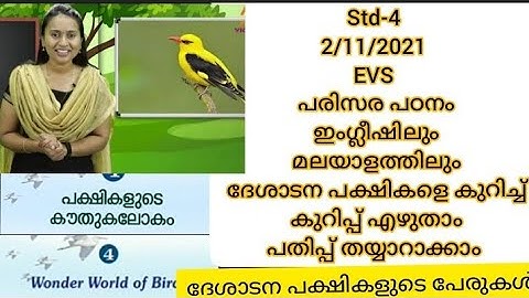 # first bell  STD 4 EVS The Wonder World of birds - പരിസര പഠനം പക്ഷികളുടെ കൗതുക ലോകം #2/11/2021#