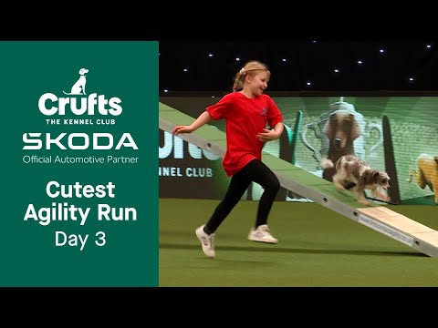 Your CUTEST Agility run from Day 3! | Crufts 2023