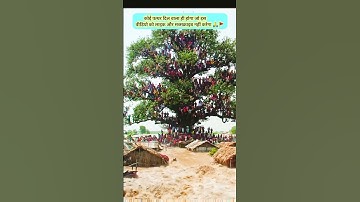 Top Learning Tools 🥰 for Tech Enthusiasts #shorts​​ #shortsfeed #viralshorts