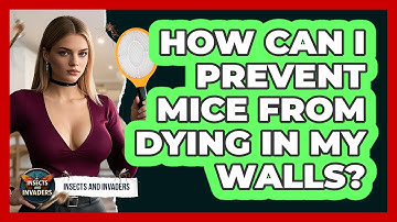 How Can I Prevent Mice From Dying In My Walls? - Insects and Invaders