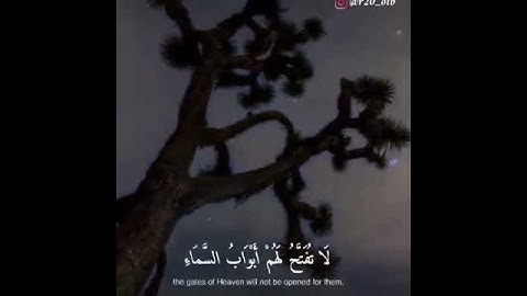 سورة الأعراف آية 40 بصوت الشيخ ياسر الدوسري