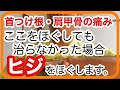 【首の痛み】【肩甲骨の内側の激痛】ひじが重要 ここをほぐす!