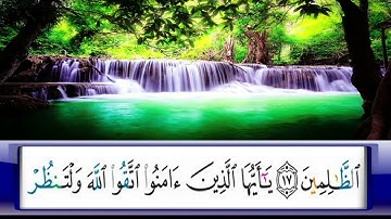 الربع     219/الشيخ محمد جبريل /اخر سورة الحشر واول سورة الممتحنة