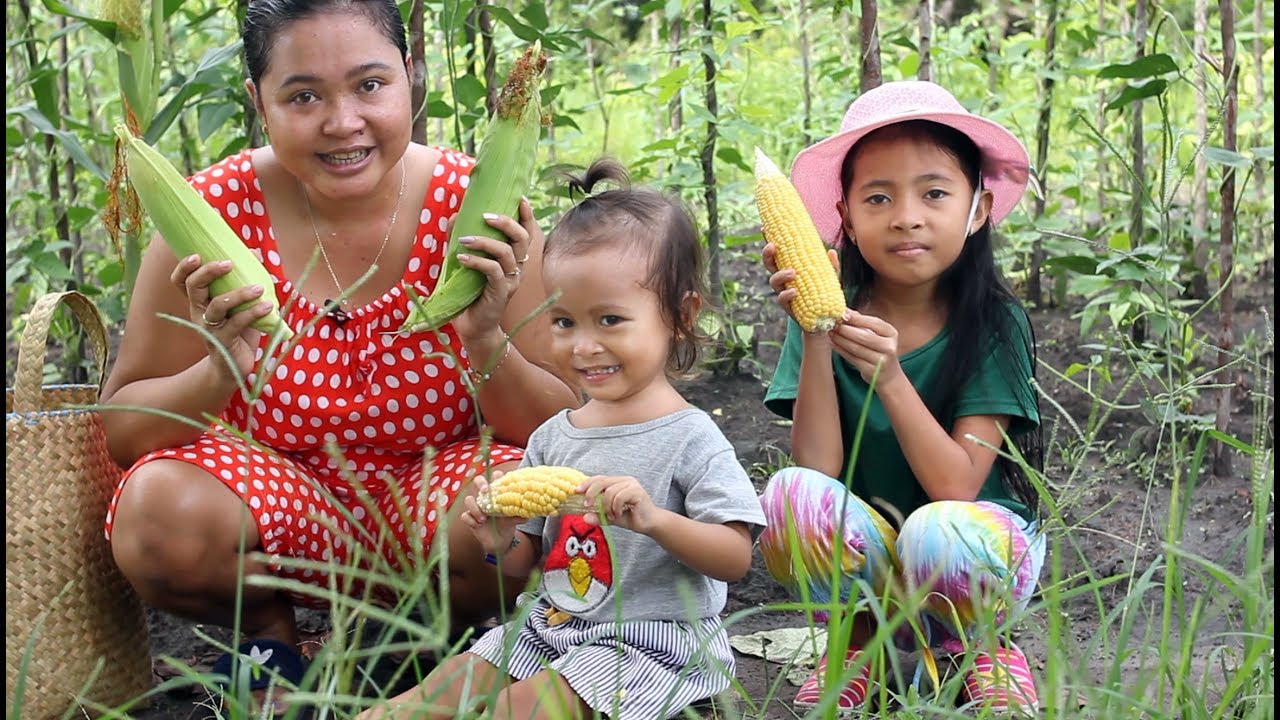 Balita Lucu Panen Jagung Di Kebun Kids Harvesting Corn Youtube