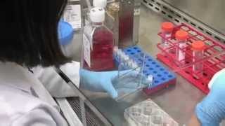 Organ BioPrinting