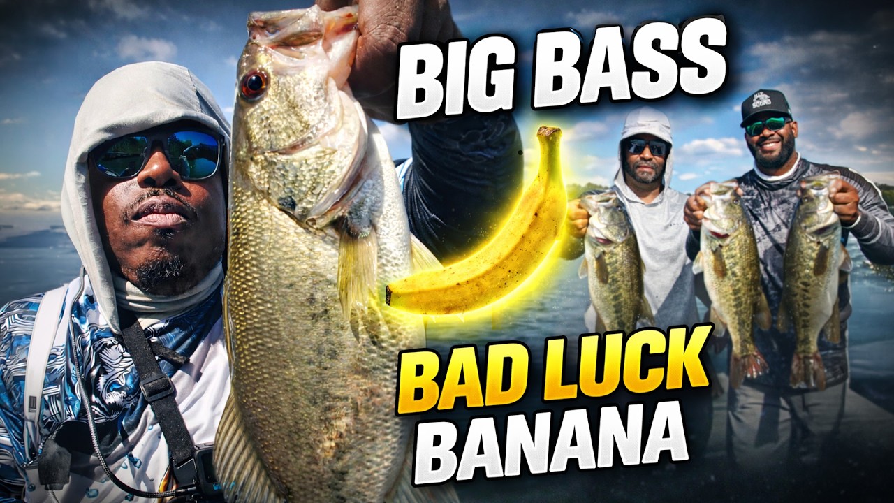 Big Bass and The Bad Luck Banana – Lake Tillery Tournament – United BassMasters