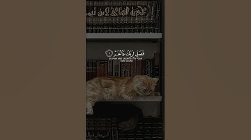 سورة الكوثر ﴿إنا أعطيناك الكوثر۝فصل لربك وانحر۝إن شانئك هو الأبتر﴾ [الكوثر: ١-٣] محمد صديق المنشاوي