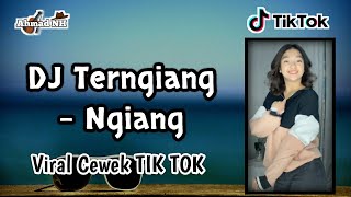 DJ Remix Terngiang - Ngiang Cewek Viral TIK TOK - Terbaru Full Bass 2K21 (Ahmad NH Remix) screenshot 4