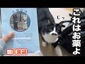 カサカサ鳴る袋の中身は全ておやつだと思ってる