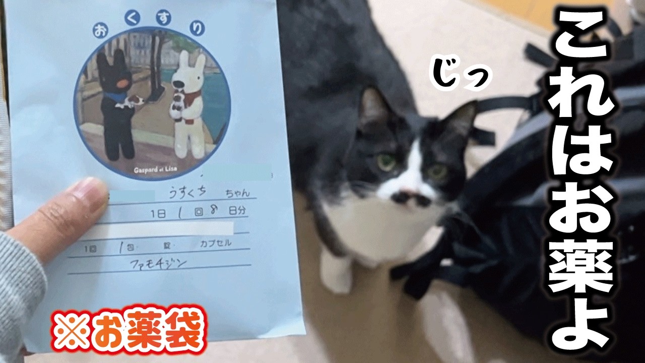 カサカサ鳴る袋の中身は全ておやつだと思ってる