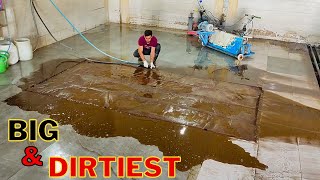 You have not seen such a dirty carpet  |  the brown water was flowing almost like mud constantly!