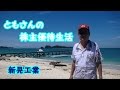 新晃工業からの株主優待品（辛子明太子） の動画、YouTube動画。