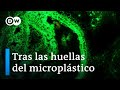 Los peligros del microplástico | DW Documental